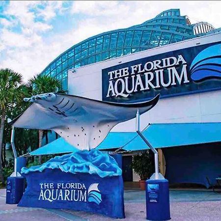 Minutes To Fairgrounds, Hard Rock, & Busch Gardens Villa Tampa Exterior foto